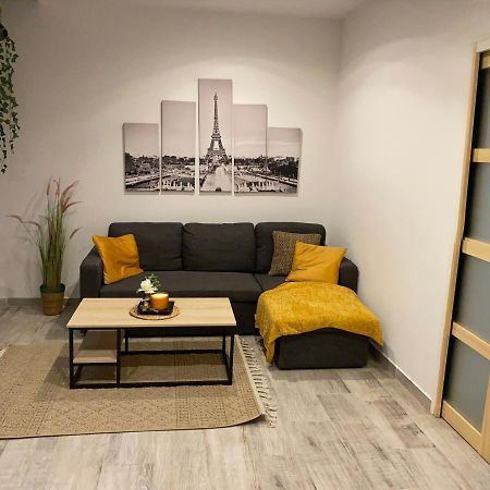 Le Duplex De Paris Apartment Chalon-sur-Saone Ngoại thất bức ảnh